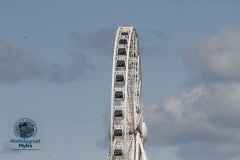 IMG_2446