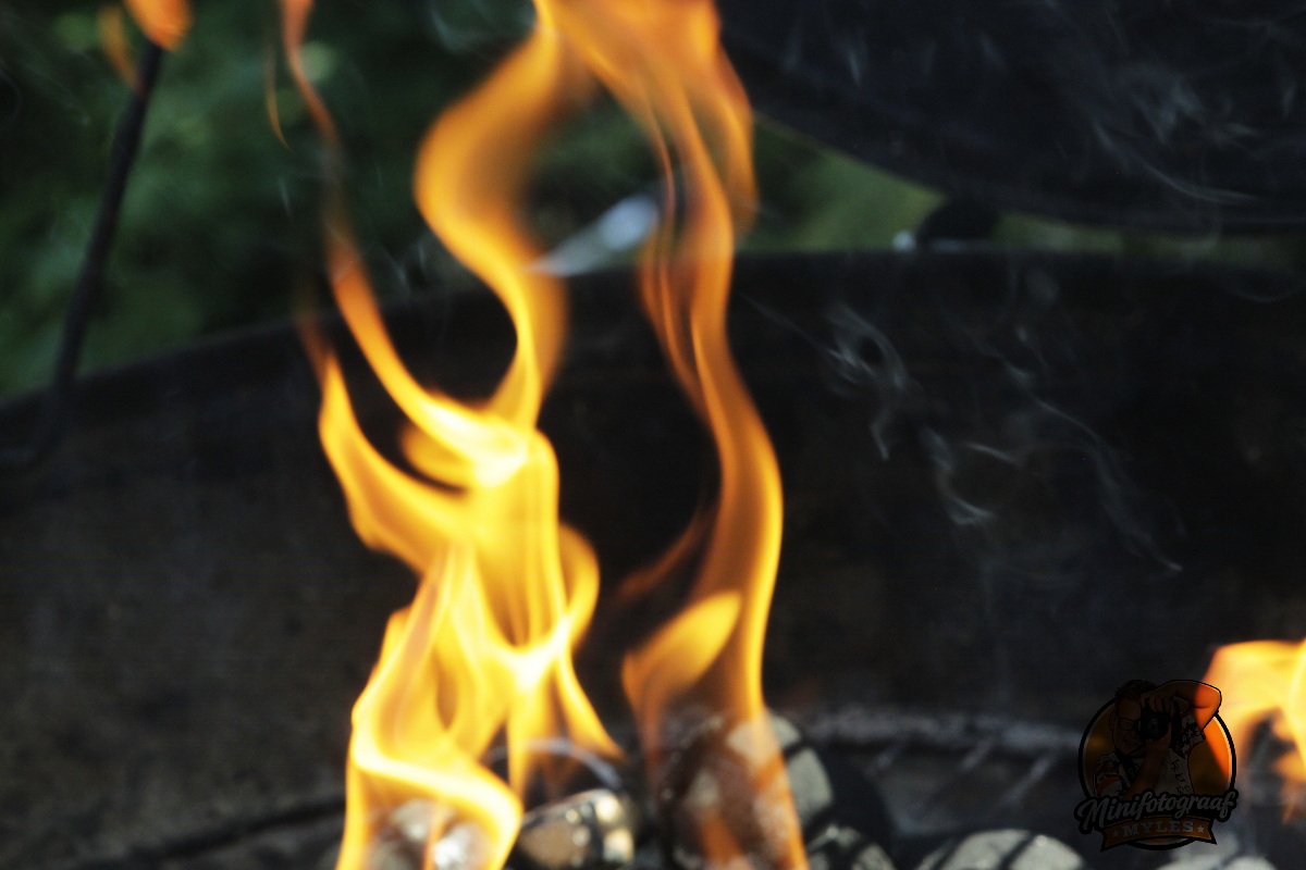 BBQ einde vakantie voor de dames